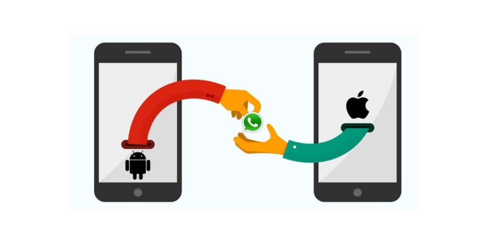 Migrating WhatsApp from iPhone to Android Using BackupTrans