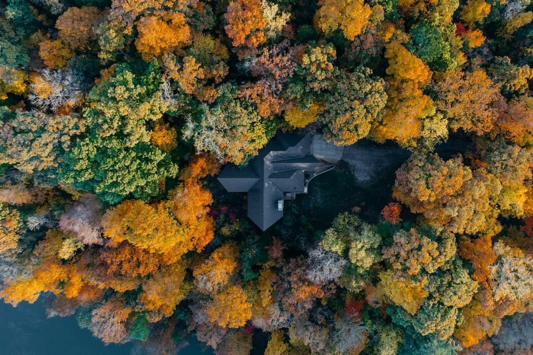 Where to find abandonware？